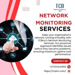Network Monitoring Services