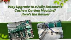 Why Upgrade to a Fully Automatic Cashew Cutting Machine? Here’s the Answer
