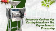 Automatic Cashew Machines: A Smart Investment for 2025 and Beyond