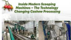 Inside Modern Scooping Machines – The Technology Changing Cashew Processing