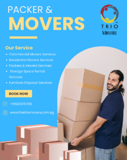 Reliable Packers and Movers Services in Singapore | The Trio Movers