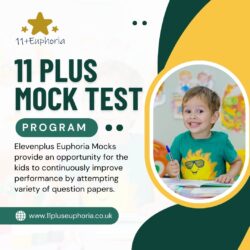 11 Plus Mock Test UK | Online Practice Exams | ElevenPlus Euphoria