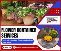 Professional Container Flower Solution