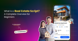 What is a Real Estate Script? A Complete Overview for Beginners