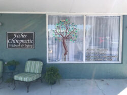 Transform Your Storefront with Stunning Window Graphics in Tampa