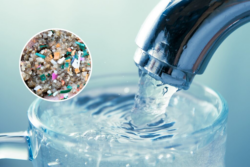Protect Your Body from Harmful Microplastics in Water