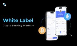 Unleashing Fintech Agility with a Next-Gen White Label crypto Banking Platform
