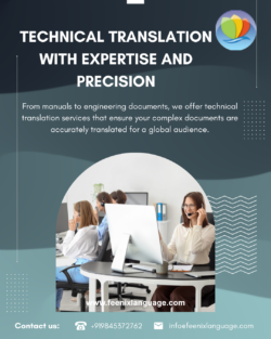 Feenix Language Solution – Trusted ISO-Certified Translation & Localization Agency in India