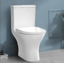 Floor Standing Toilet