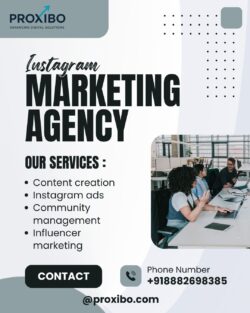 Instagram Marketing Agency