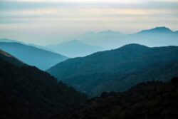 Looking for the Best Kerala Tour Packages?