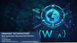 Web application development services