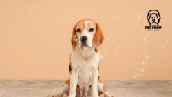 At-Home Heartworm Treatment for Dogs: A Safe and Practical Guide for Pet Owners