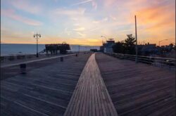 Black Locust Boardwalk