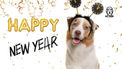 New Year Furniture Guide for Homes With Big Dogs