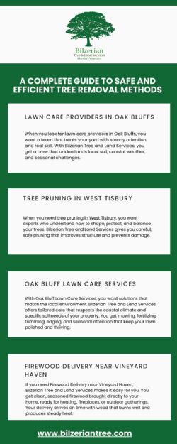 A Complete Guide to Safe and Efficient Tree Removal Methods