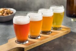 Beer Ingredients Explained: Water, Malt, Hops & Yeast
