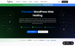 5 Best WordPress Hosting Providers in India (2025)