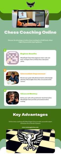 Structured Chess Courses to Level Up Your Game