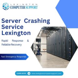 Server Crashing Service Lexington – Rapid Response & Reliable Recovery
