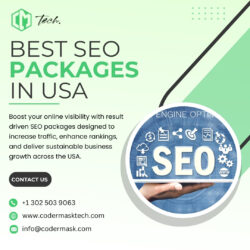 Best SEO Packages in USA for Small & Large Businesses