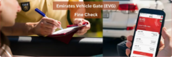 Pay Traffic fines in UAE Online