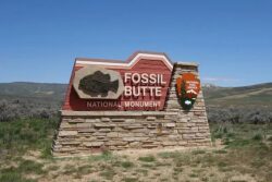 Elevate Property Value with Custom Monument Signs