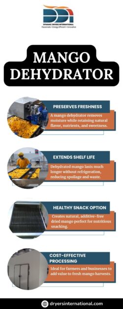 Mango Dehydrator