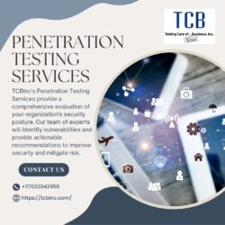 Penetration Testing Services