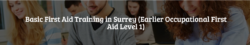 Basic First Aid Training Surrey (Earlier OFA Level 1) | Mainland Safety