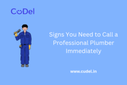Signs You Need to Call a Professional Plumber Immediately