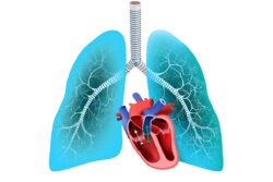 Heart and Lung Transplant Explained by Dr. K R Balakrishnan