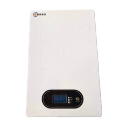 YJ LITHIUM IRON PHOSPHATE BATTERY PACK 242001/48100