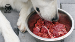 Adding Beef Kidney to Your Dog’s Diet for Better Health