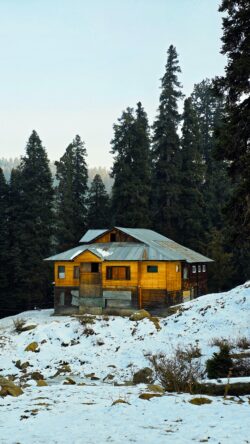Kashmir Couple Packages | 10+ Honeymoon Tours – Save 25%