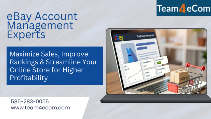 Tailored eBay Optimization & Growth Services
