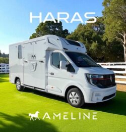 Compact Horsetrucks Built for Two Horses