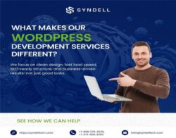 Business Driven WordPress Web Development California