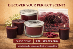 Long-Lasting Fragrance Candles for Every Space
