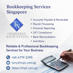 Professional Bookkeeping Services Singapore for Accurate Business Accounts