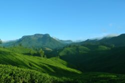 kerala tour packages for Budget Travel Planning
