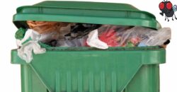 Keep Your Space Fresh with Professional Trash Bin Cleaner Services