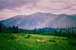 Romantic Kashmir Tours | 10+ Honeymoon Packages – Save 17%