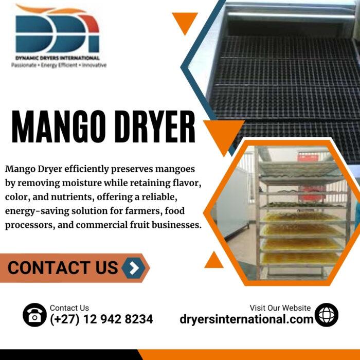 Mango Dryer