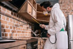 Pest Exterminator for Kitchen in Cleveland