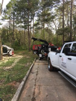 Tree Removal Contractor