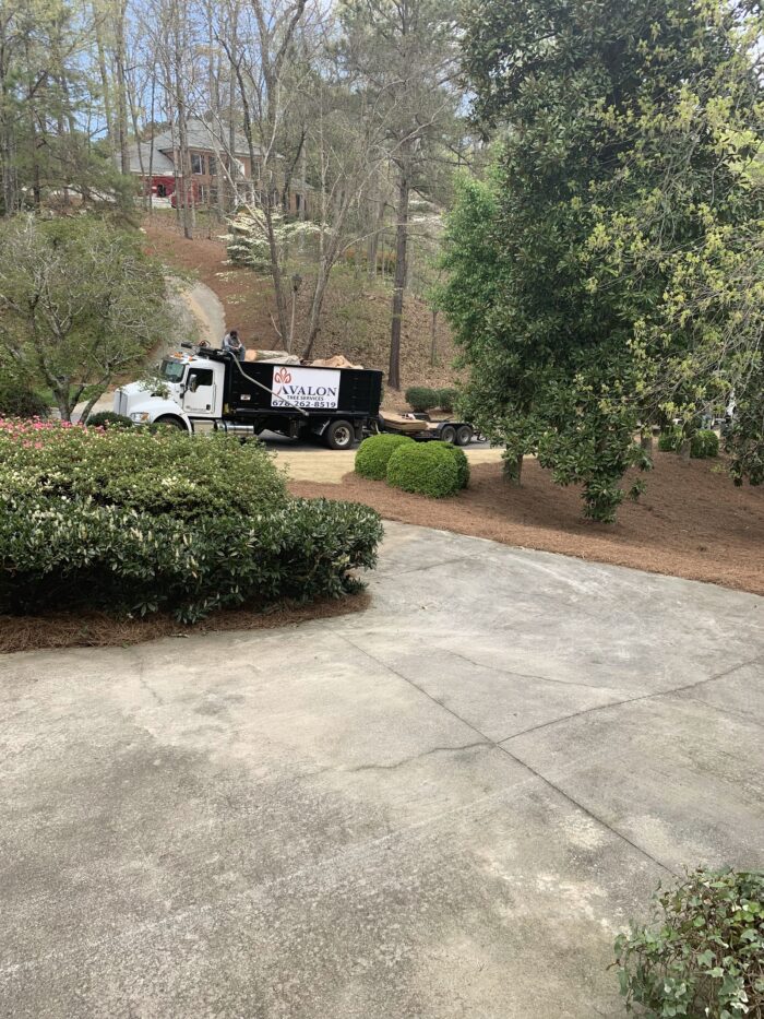 Tree Removal Contractor Lilburn