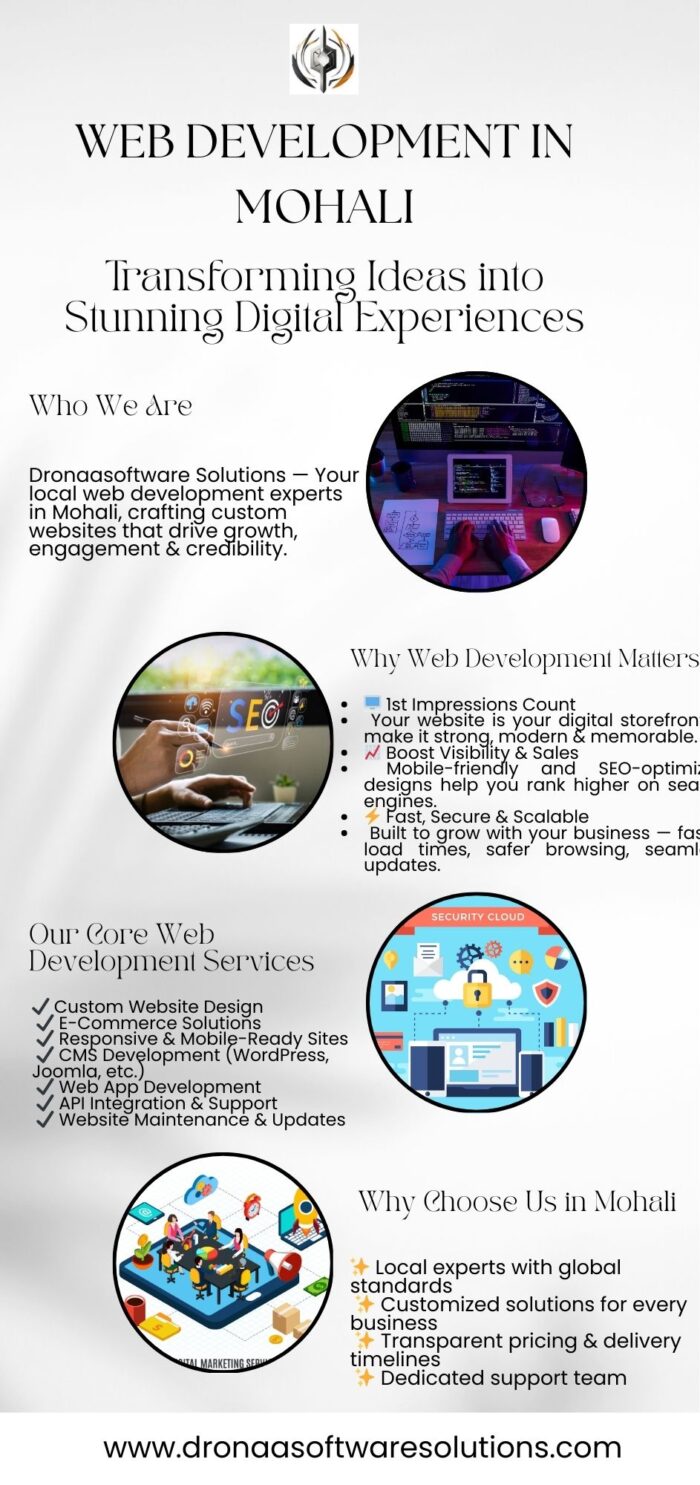 Professional Web Development in Mohali by Dronaa Software LLP