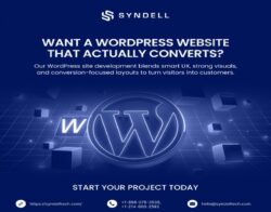 WordPress Web Development That Converts in California