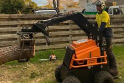 Tree Removal Donvale